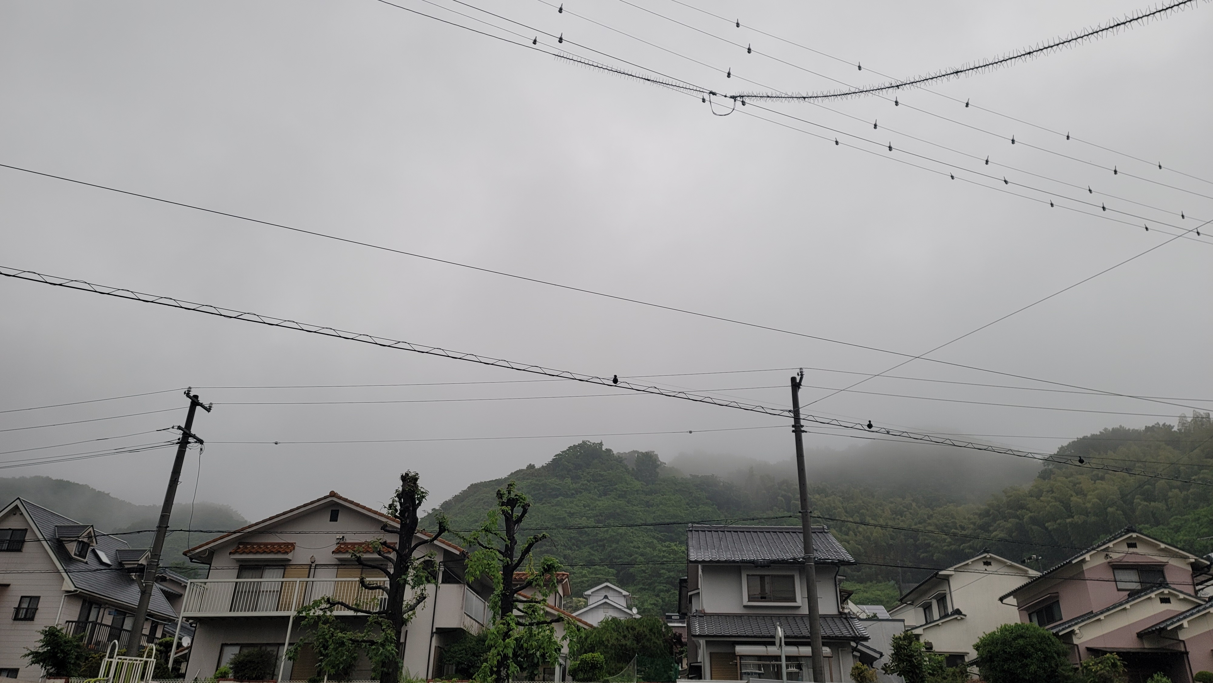 雨模様